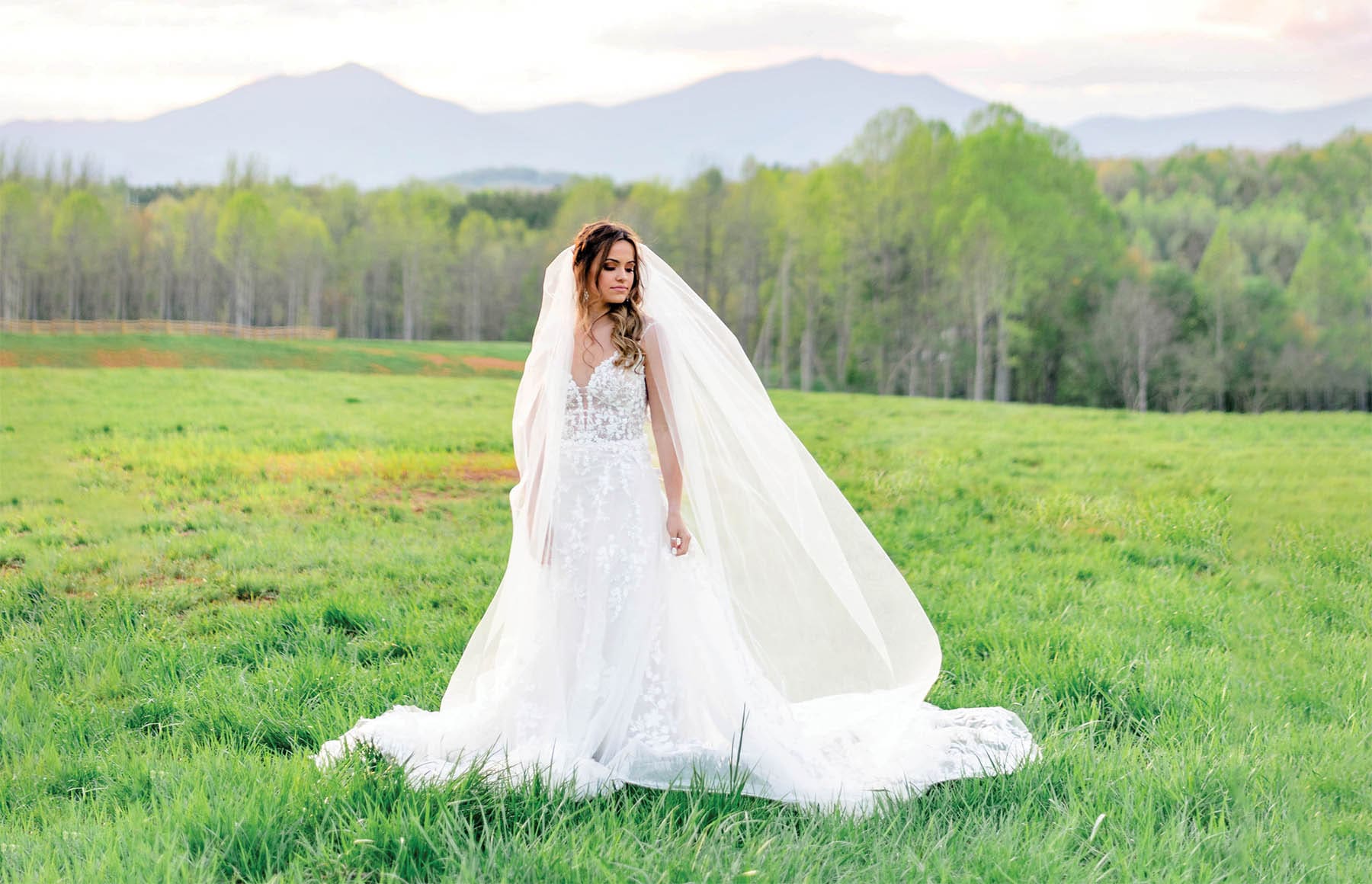 Cedar Oaks Farm Alina Thomas Photography