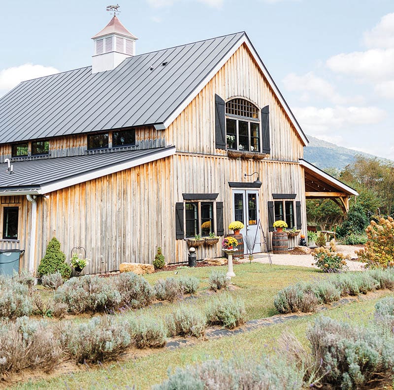 Photos Courtesy of Kaitlin Grace Fine Art Photography, Silver Fox Lavender Farm